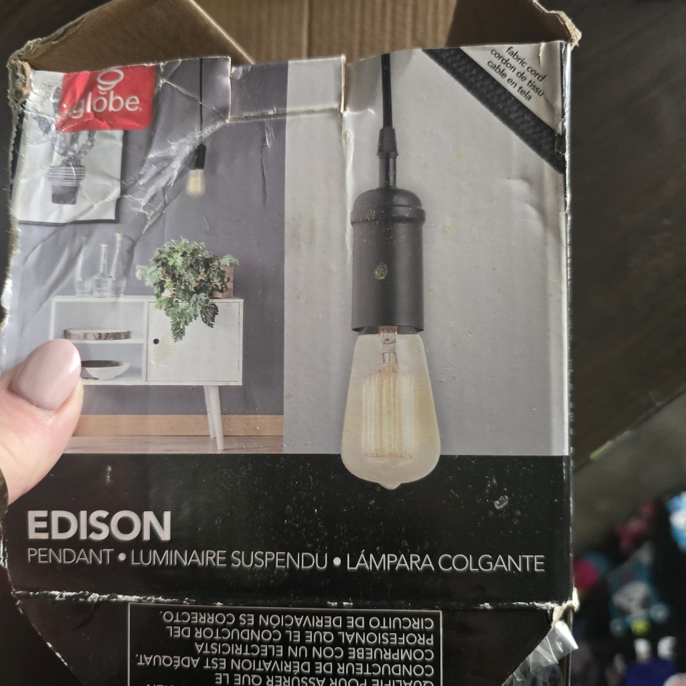 Edison pendant light